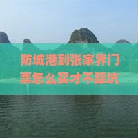 防城港到张家界门票