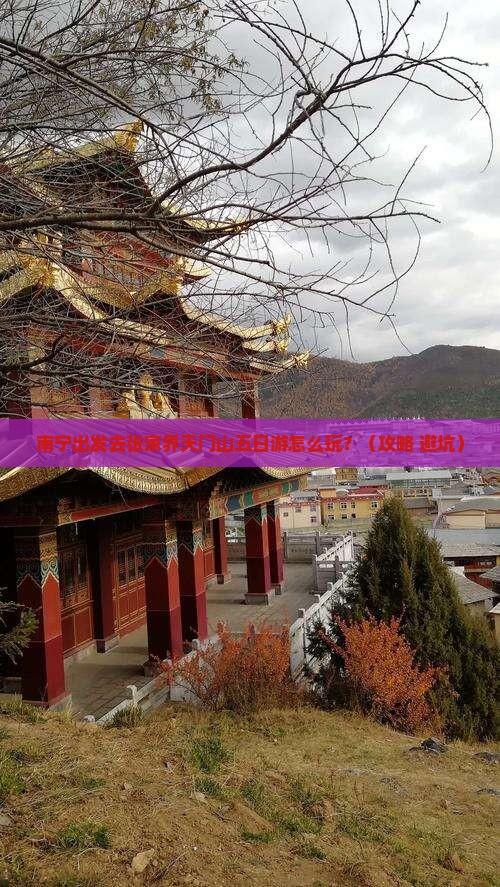 南宁去张家界天门山五日游