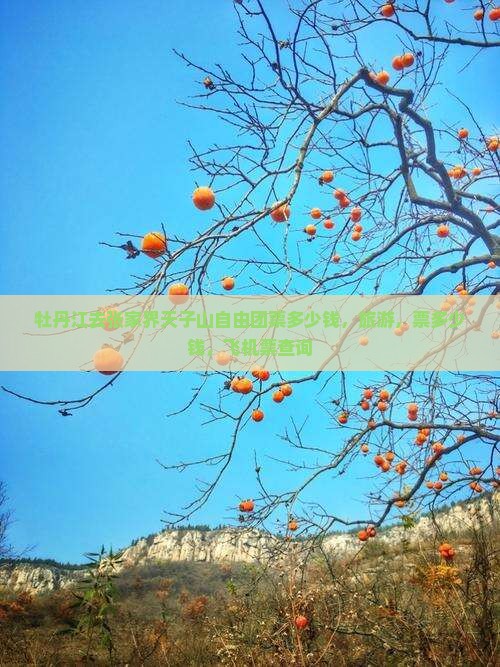 牡丹江去张家界天子山自由团