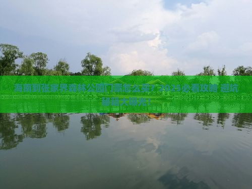 海南到张家界森林公园门票