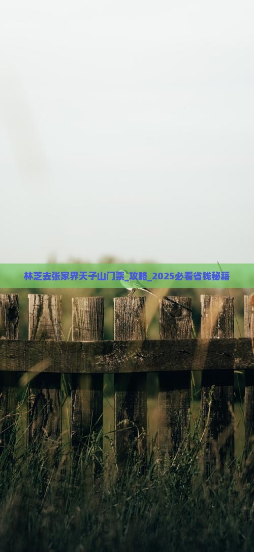 林芝去张家界天子山门票