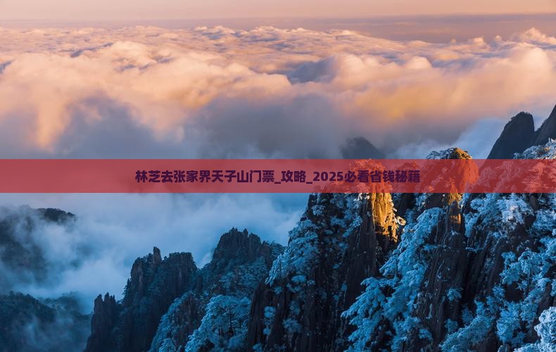 林芝去张家界天子山门票