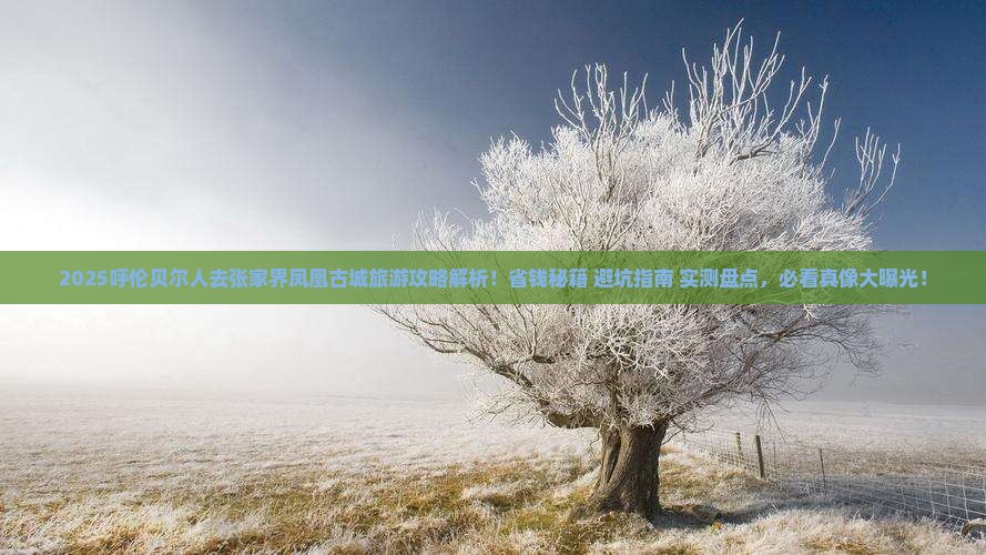 呼伦贝尔去张家界凤凰古城旅游