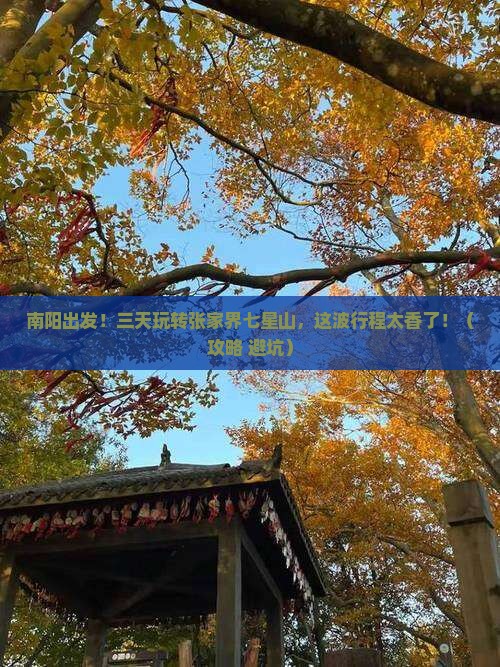 南阳到张家界七星山三日游