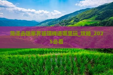 菏泽去张家界玻璃栈道哪里玩