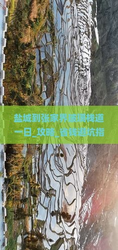 盐城到张家界玻璃栈道一日