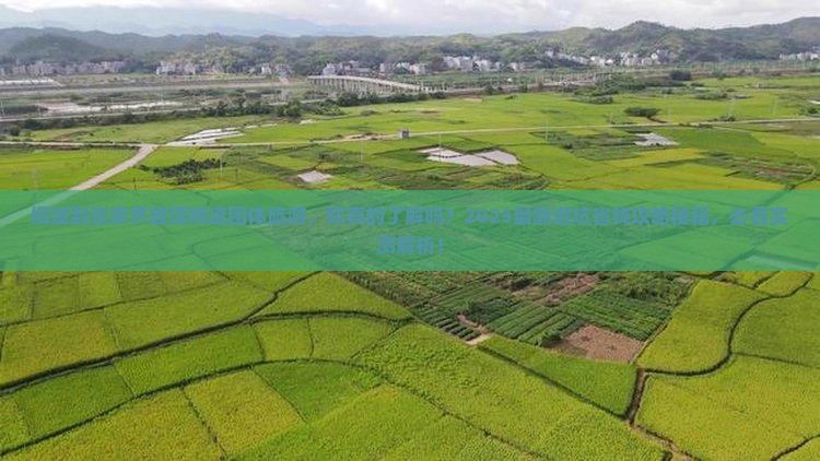 桐城到张家界玻璃栈道团体旅游