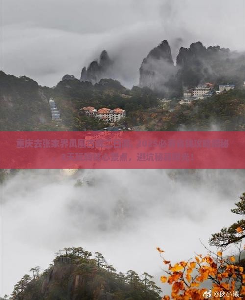 重庆去张家界凤凰古城二日游