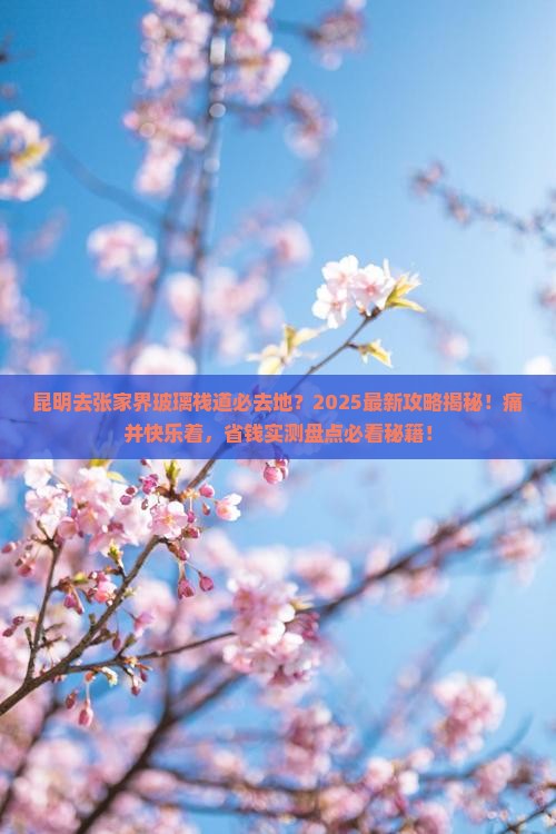 昆明去张家界玻璃栈道必去地