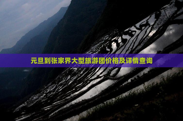 元旦到张家界大型旅游团