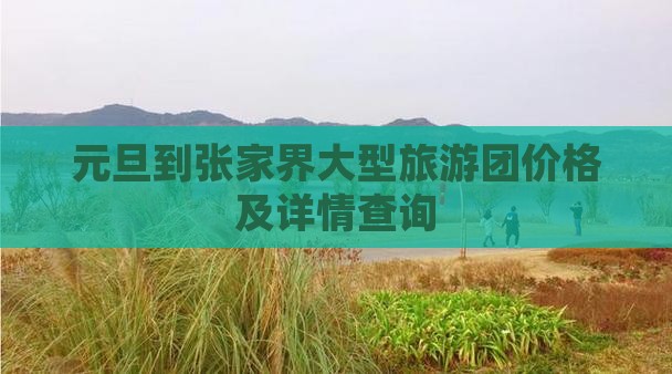 元旦到张家界大型旅游团