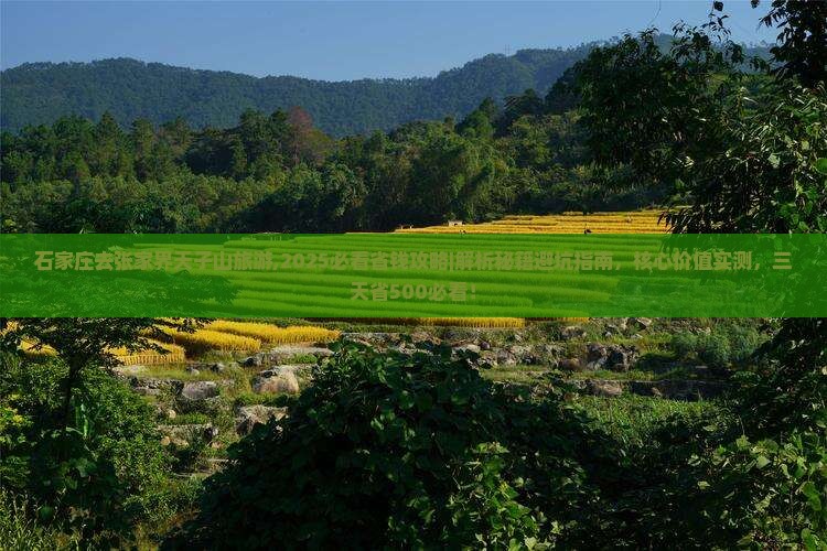 石家庄去张家界天子山旅游