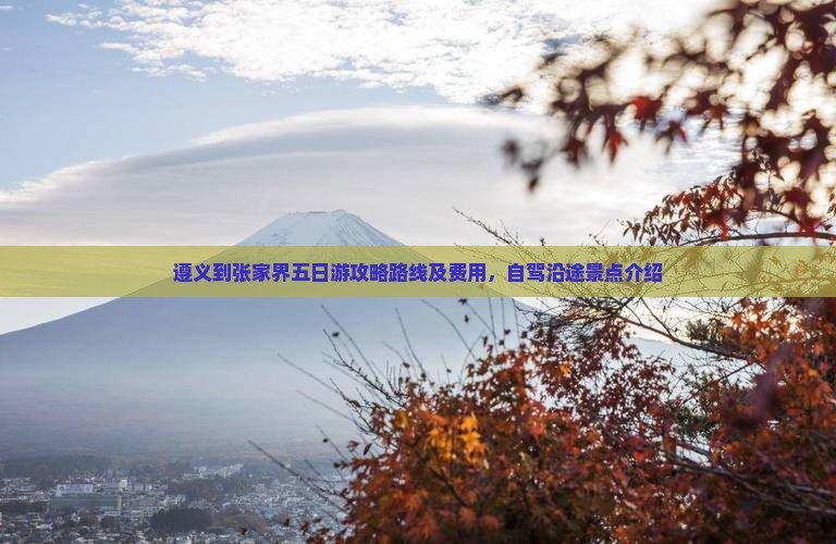 遵义到张家界五日游