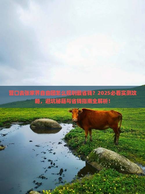 营口去张家界自由团