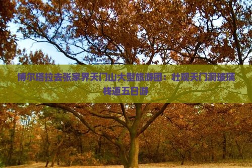 博尔塔拉去张家界天门山大型旅游团