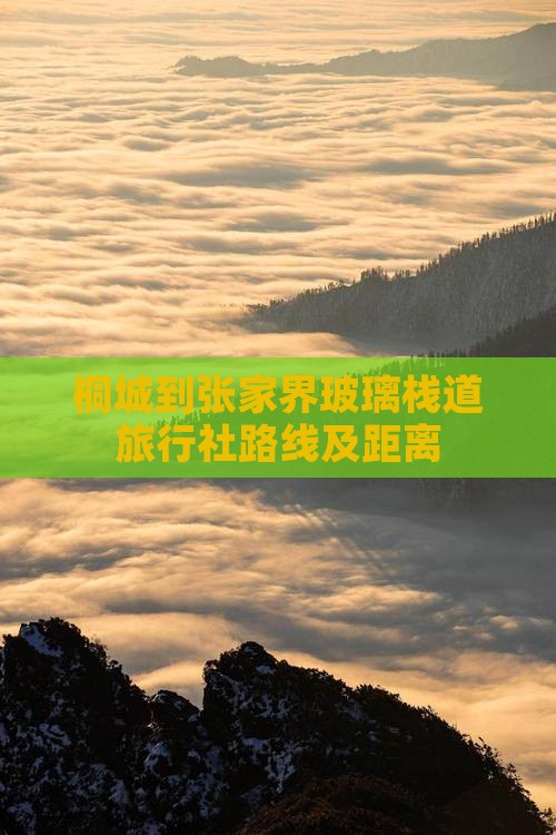 桐城到张家界玻璃栈道旅行社