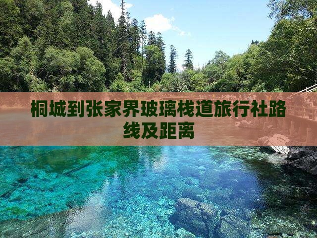 桐城到张家界玻璃栈道旅行社