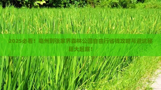 亳州到张家界森林公园自由行 亳州到张家界森林公园自由行