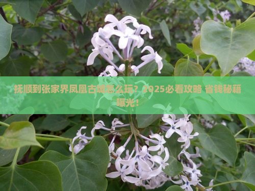 抚顺到张家界凤凰古城旅行社