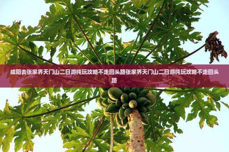 咸阳去张家界天门山二日游