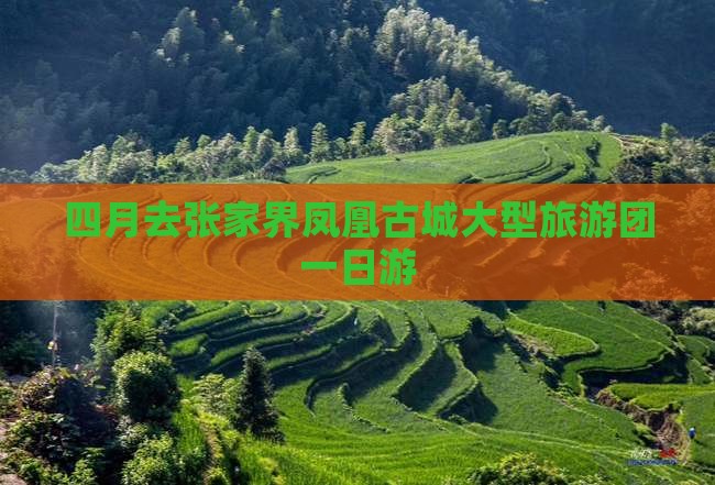 四月去张家界凤凰古城大型旅游团