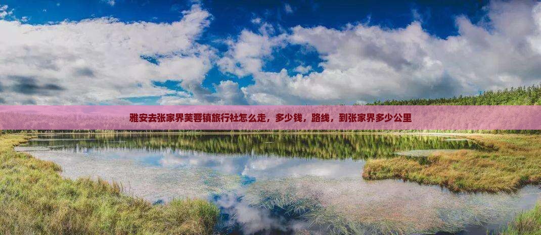 雅安去张家界芙蓉镇旅行社