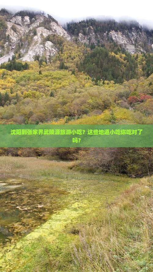 沈阳到张家界武陵源旅游小吃