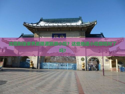 沈阳到张家界武陵源旅游小吃
