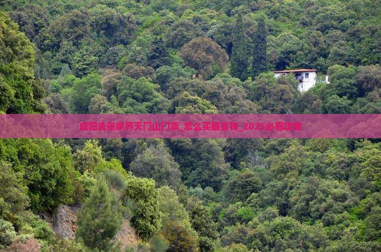 咸阳去张家界天门山门票