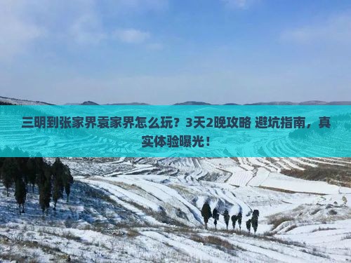 三明到张家界袁家界旅行社