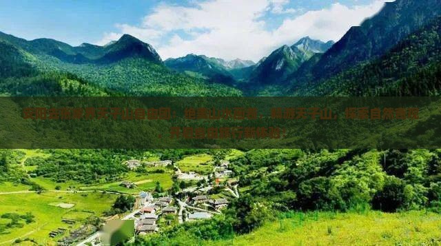 安阳去张家界天子山自由团