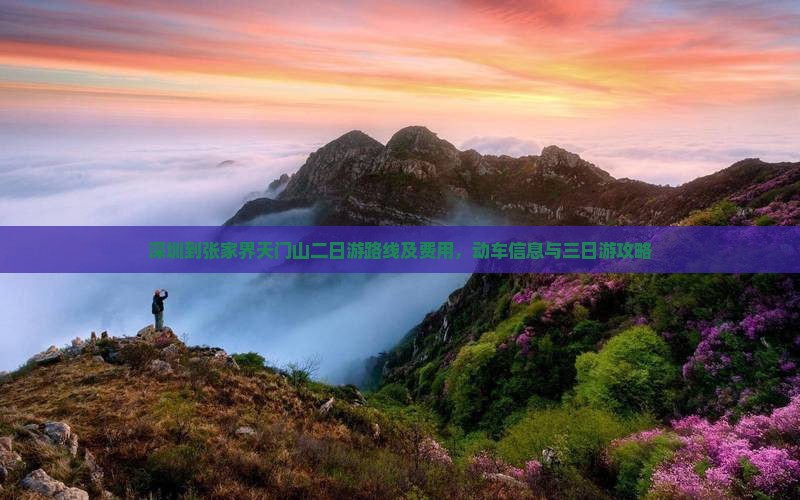 深圳到张家界天门山二日游