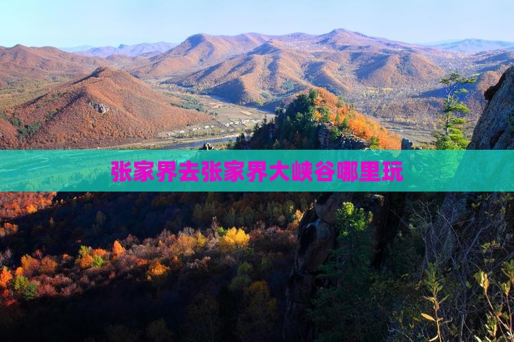 张家界去张家界大峡谷哪里玩