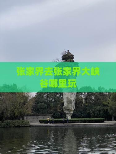 张家界去张家界大峡谷哪里玩