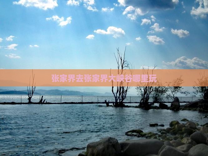 张家界去张家界大峡谷哪里玩