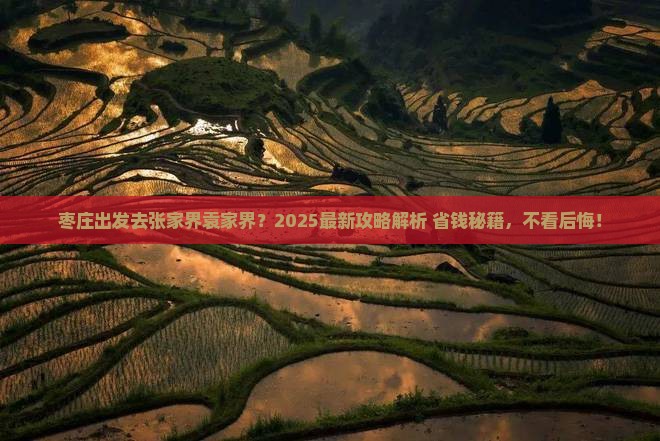 枣庄去张家界袁家界景点