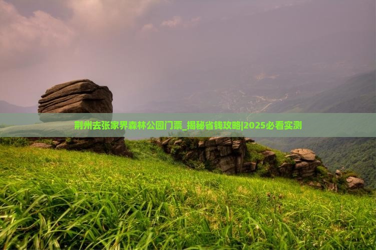 荆州去张家界森林公园门票