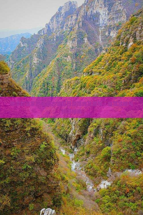 菏泽到张家界凤凰古城四日游