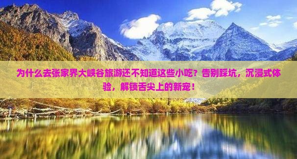 思茅去张家界大峡谷旅游小吃