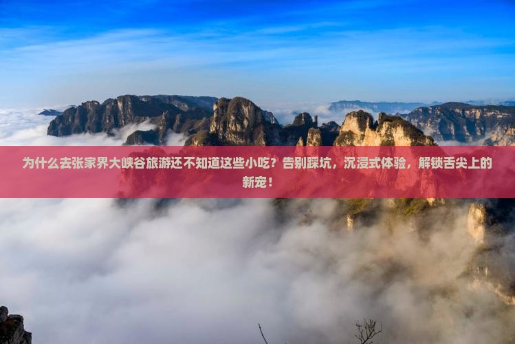 思茅去张家界大峡谷旅游小吃
