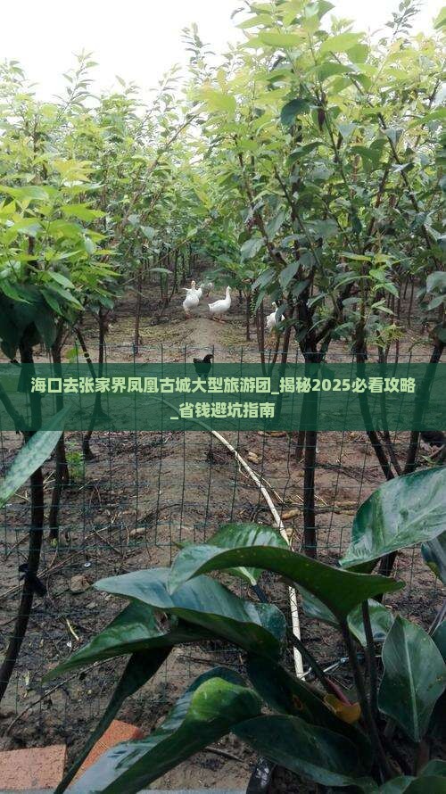 海口去张家界凤凰古城大型旅游团