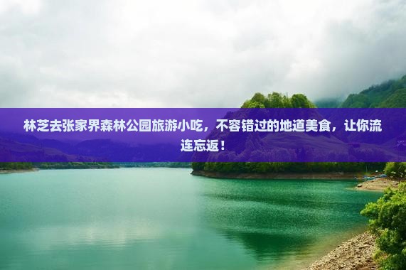 林芝去张家界森林公园旅游小吃