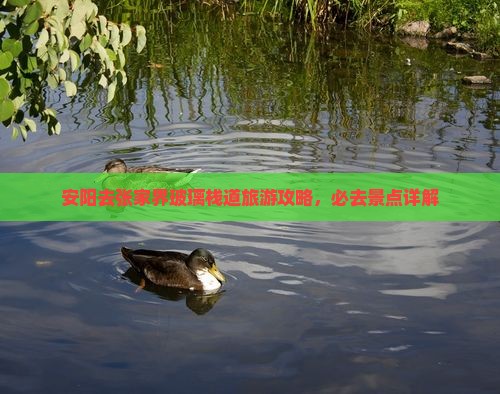 安阳去张家界玻璃栈道一日