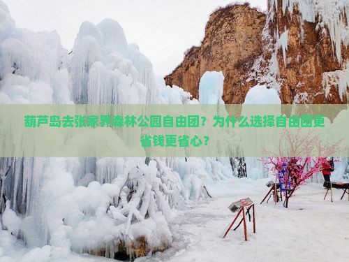 葫芦岛去张家界森林公园自由团