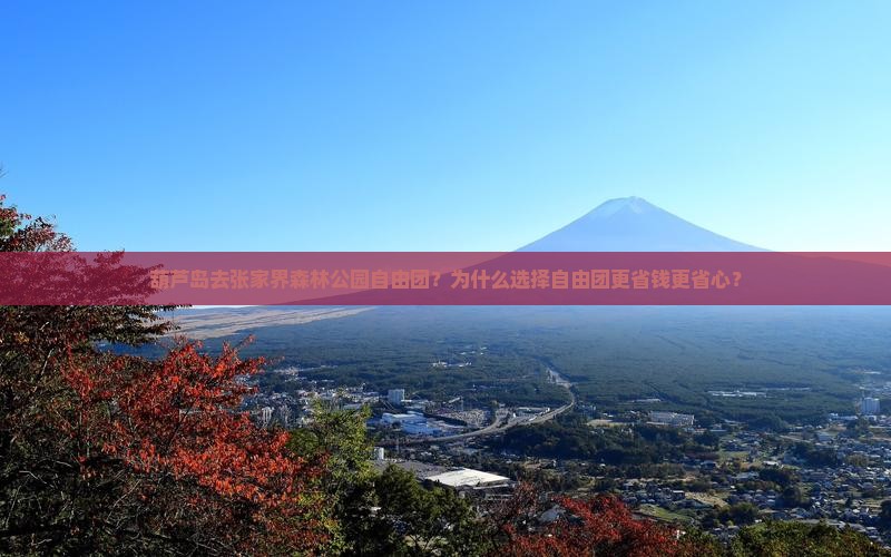 葫芦岛去张家界森林公园自由团