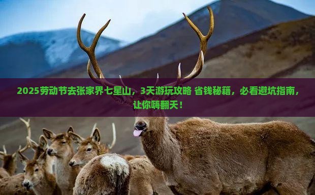 劳动节去张家界七星山景点
