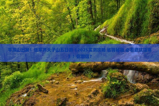 平顶山到张家界天子山五日游