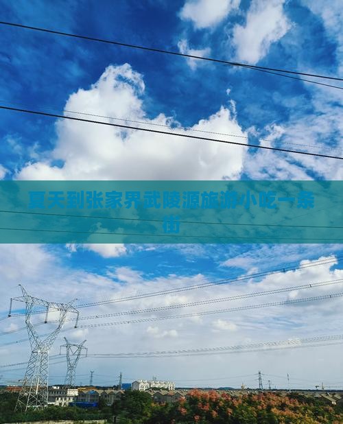 夏天到张家界武陵源旅游小吃