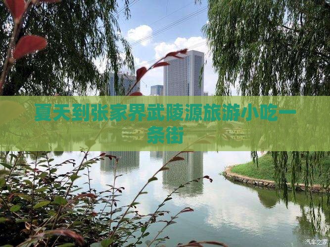 夏天到张家界武陵源旅游小吃