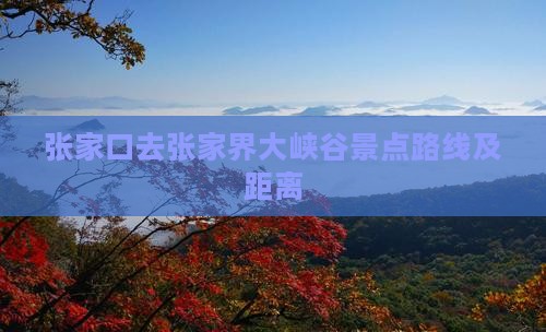 张家口去张家界大峡谷景点